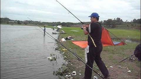 Cau Ca Song May - thegioicauca.com - Part 1