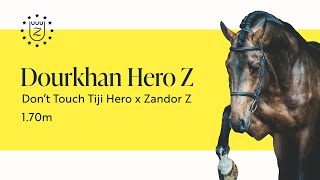 Dourkhan Hero Z - Zangersheide Stallion Presentation 2023