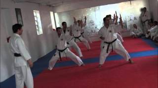 Karate de Vizela