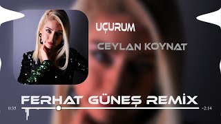 Ceylan Koynat - Uçurum ( Ferhat Güneş Remix )