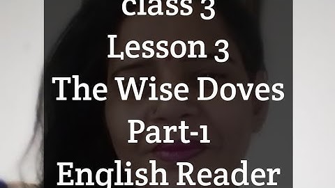 class-3,lesson-3,The Wise Doves,Part-1,English Reader Mittsure line to line explanation, mukesh soni