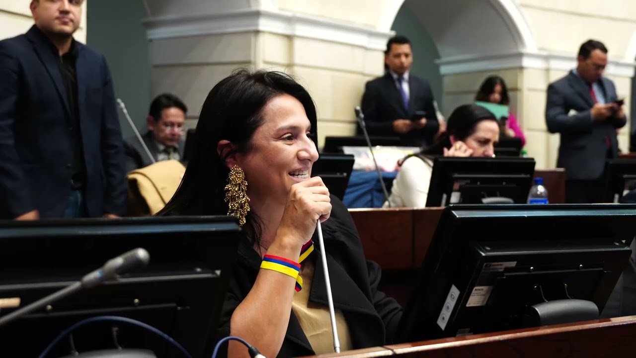 Intervención en el Senado sobre la propuesta de constituyente del ‘socialista de Ferragamo’.