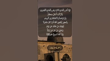 سورة الأنفال الآية ٤٢ بصوت الشيخ محمد صديق المنشاوي