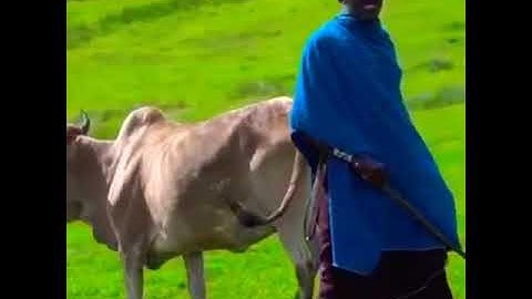 Ngorongoro Conservation Area