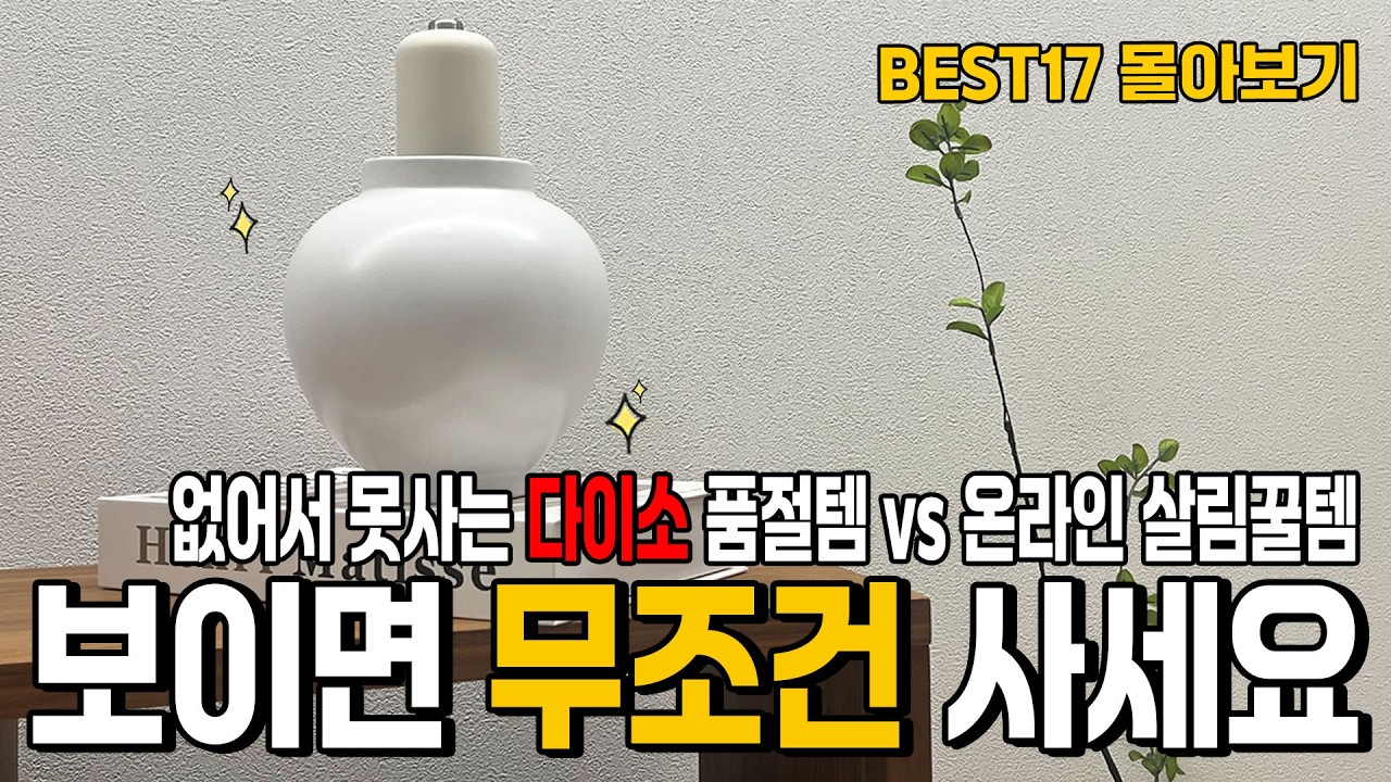 구독자이벤트🎁백화점퀄리티 다이소 품절대란템 vs 삶의질 수직상승템 | BEST17