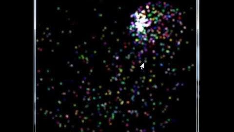 Particle System -- Final Project -- UCB CS 184, Fall 2010