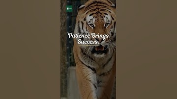 Patience isn’t weakness — it’s power. #Patience #SuccessMindset #Motivation