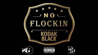 Kodak Black | No Flocking (clean)