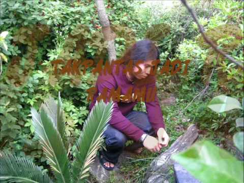 kangen band mei dangi8