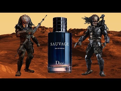 Dior Sauvage Edp Review Youtube