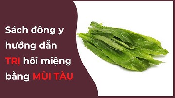 Mẹo Dùng LÁ MÙI TÀU Chữa Hơi Thở Có Mùi Hôi Thối