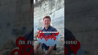 Как выбрать лучшую автошколу? Продолжение истории создания Рули Онлайн #пдд #билетыпдд #пддонлайн