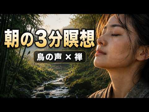 【朝の3分瞑想・4K】鳥のさえずりと川のせせらぎ｜集中力を整える日本の禅ヒーリング音楽