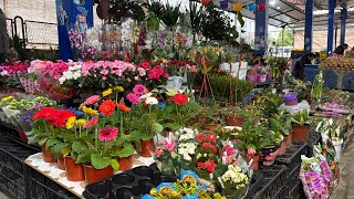 31 Ocak 2026 I In Pa