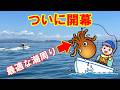 【爆発直前】明石沖の水温安定=5/1タコ解禁で完全シーズン突入+青物入り確定