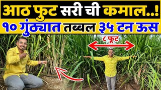 8 फूट सरी किती फायद्याची..? उत्पन्न होईल तिप्पट🤔🤑💯Sugarcane Farming A to Z | Indian Farmer Marathi