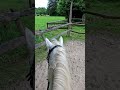 #horse#pony#saut#concours