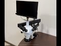 Стереомикроскоп с зумом BS-3040