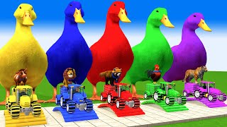 5 Giant Duck, Monkey, Piglet, chicken, dog, cat, cow, Sheep, Transfiguration funny animal 2023