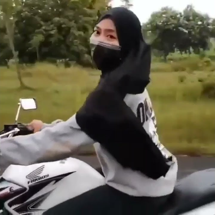 JoosGandos!! story wa herex terbaru|| ukhti pnp tiger revo