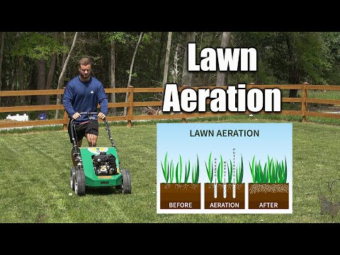 Video: Gräsluftning - Information om hur man luftar en gräsmatta