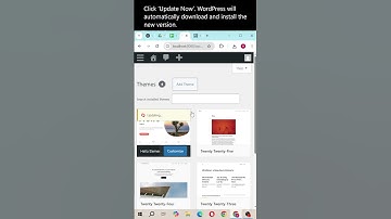 How to Update WordPress Theme Safely (No Crash!)