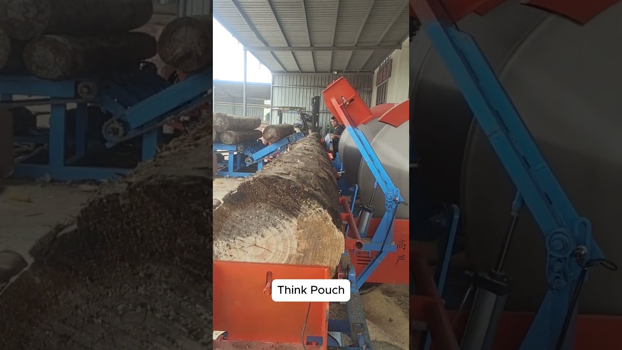 Giant Log Sliced with Industrial Saw 🪚🌲