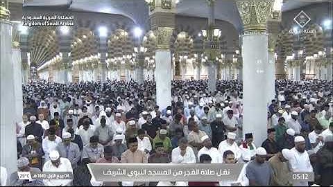 صلاة الفجر لـ فضيلة الشيخ عبدالمحسن القاسم يوم الثلاثاء ٤ ربيع الأول ١٤٤٥هـ من فواتح سورة النحل