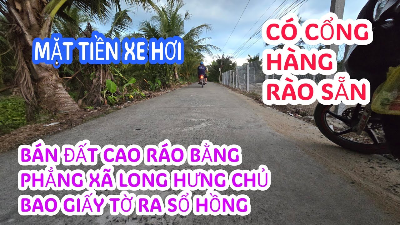MS:25210 Bán mảng đất có vài cây dừa đang cho trái - Đã có cổng hàng rào sẵn đường 🚘hơi. 