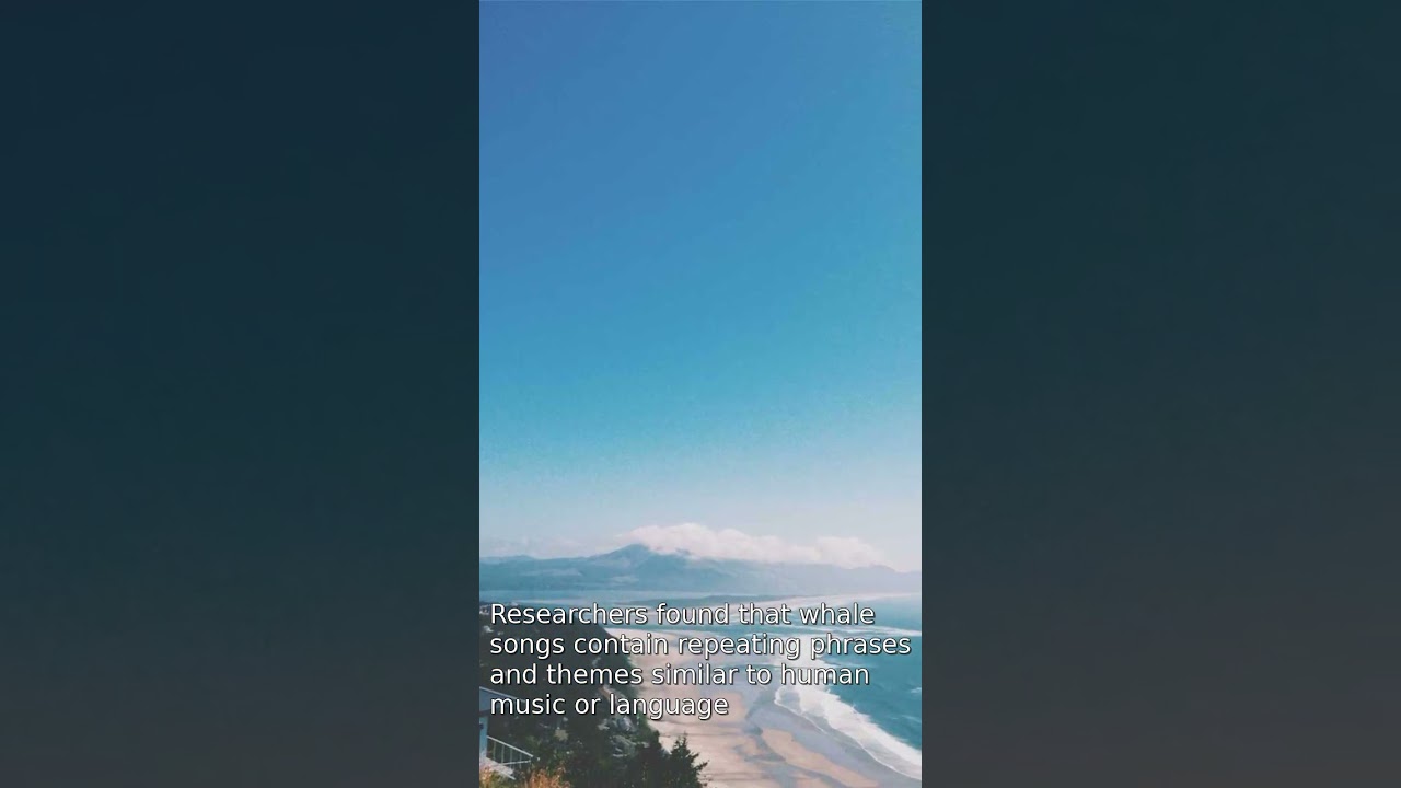 Whales Have Secret Songs We're Just Discovering! 🐋 