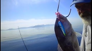 Inchiku-Engetsu Bottom Ship Technique