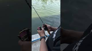 Mei - mancing micro ul titik.  #fishing #gostrike #gostrikeversusfishing #angler #mancing