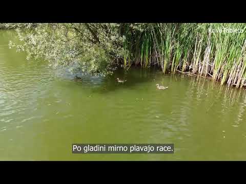 Nový Jičín – mirno mesto med zgodovino in naravo (SI) #novyjicin  #ceskarepublika  #cinematicvideo
