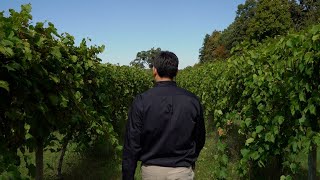 Illinois Made | Illinois Sparkling