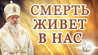 Смерть живет в нас