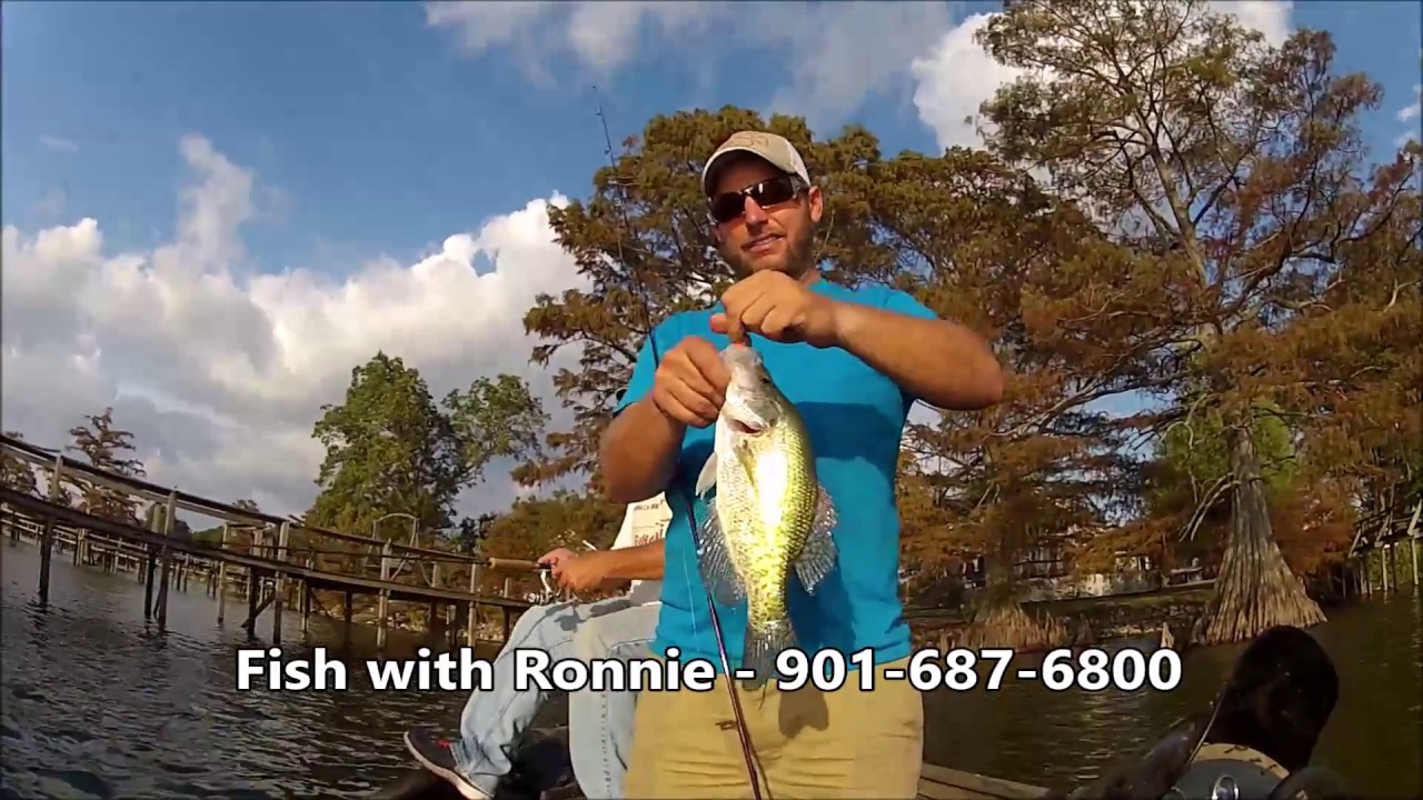 Crappie fishing Horseshoe Lake, AR YouTube