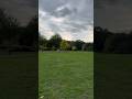 Lesnes Abbey Wood uk 🇬🇧 #park #evening #views