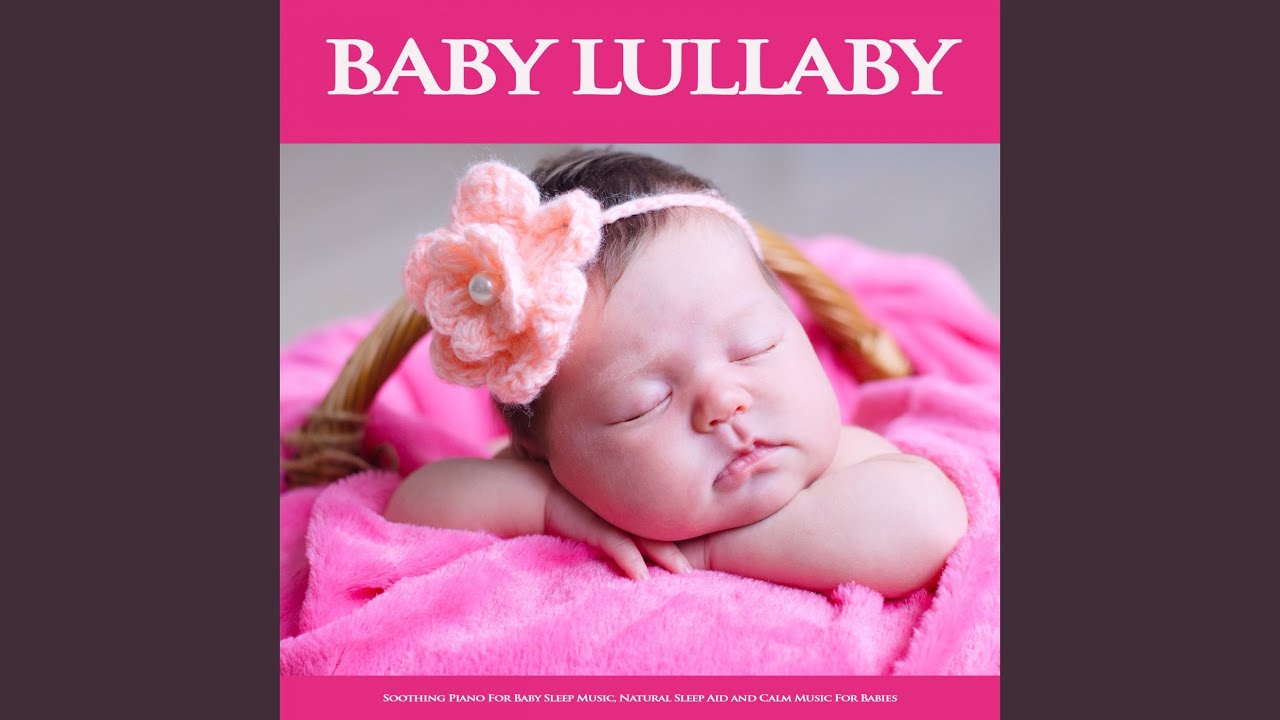 best baby sleep aid 2019