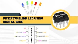 01 | BLINK LED DIGITAL WIRE PIC12F675 #PIC12F675 #CCS #LED