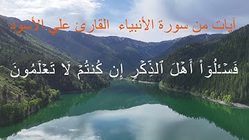سورة الأنبياء بصوت علي الأسود #سورة_الانبياء #القرآن_الكريم #تلاوة_خاشعة