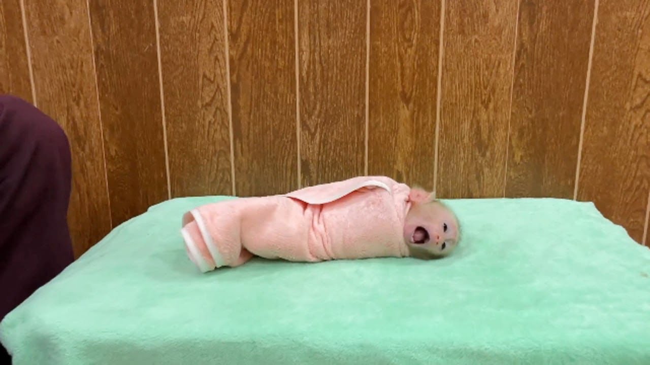 Ronaldo Big Mouth Yawning When Mom Wrap Him In Towel Tightly