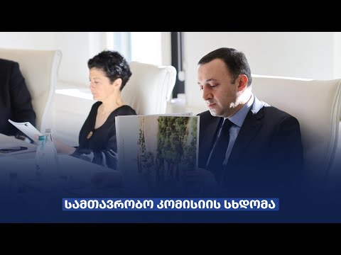 ირაკლი ღარიბაშვილის ხელმძღვანელობით სამთავრობო კომისიის მორიგი სხდომა გაიმართა