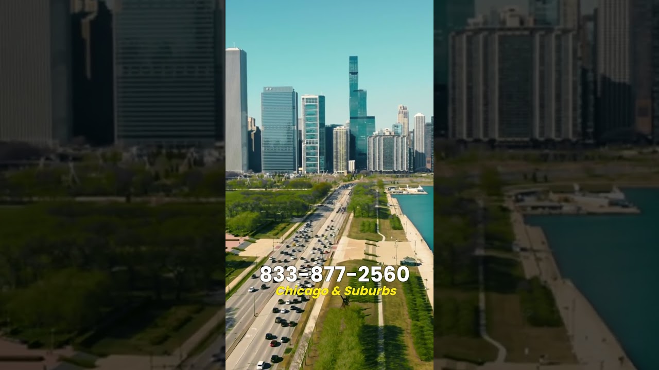 Mold Remediation Chicago | Chicago Mold Removal Hotline: 833-877-2560