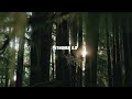 Dark trap rap type beat "PETRUNKO 2.0" | dark rap trap instrumental | petrunko 2026