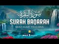 Surah Al Baqarah Full سورة البقره Heart Touching Voice Ramadan Special Zikrullah TV