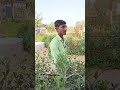 photo shooting 😱 #song #rajthani #comment #edit #alight #alightmotion #love #rajasthani #marwadi #dj