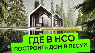 Где построить дом в соснах в Новосибирске | Обзор коттеджных поселков | Плотникофф