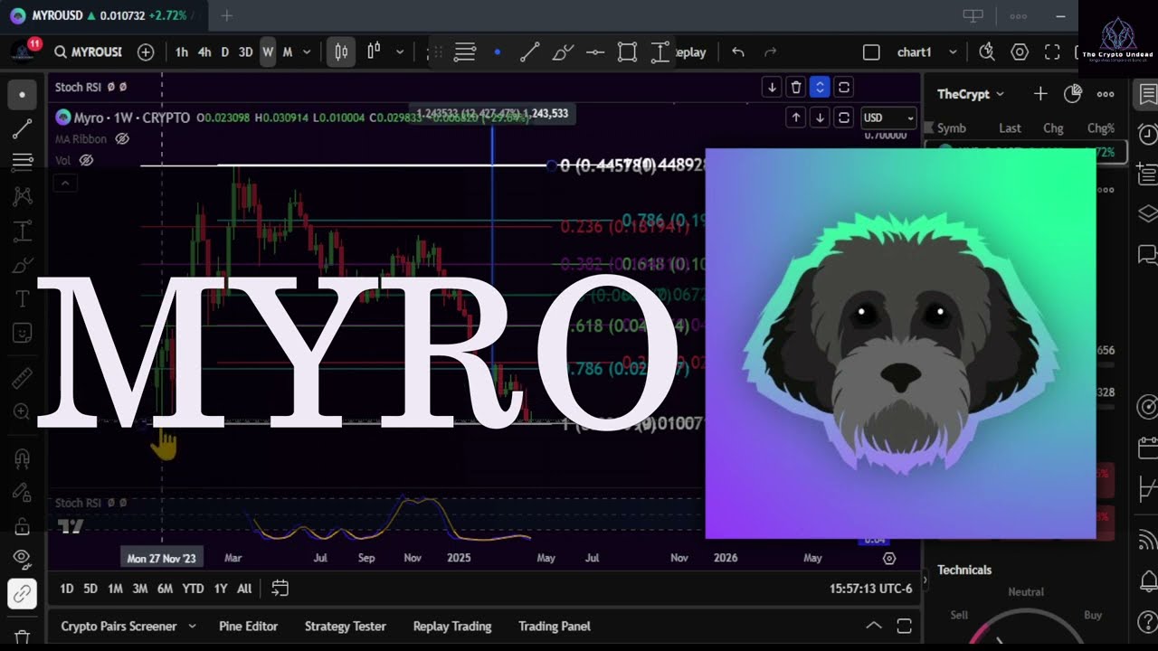 Best Meme Coins to Buy as Crypto Prices Go Parabolic: Bonk Up 26%,  Dogwifhat 30% - Modern Diplomacy