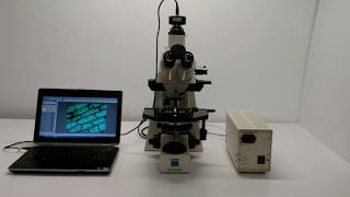 Zeiss Axioplan Fluorescence Phase Contrast Microscope [BOSTONIND] - 15188