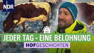 Ganzjährig auf die Weide - gut für Tiere & Boden | Hofgeschichten: Leben auf dem Land (268) | NDR